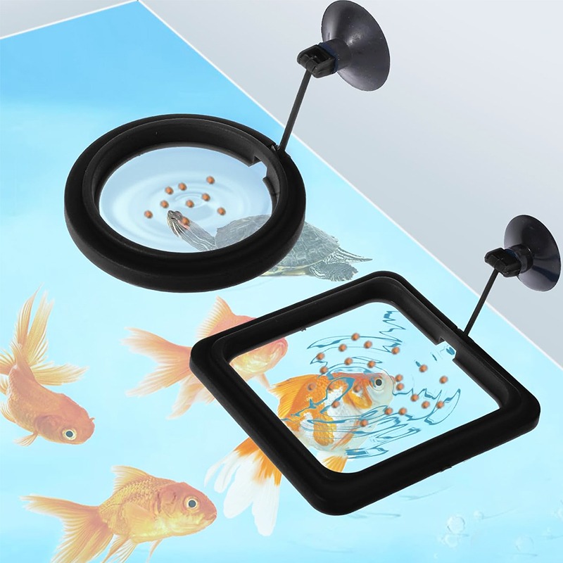 Aquarium Fish Price - Aquarium Fish Tank Feeding Ring Station