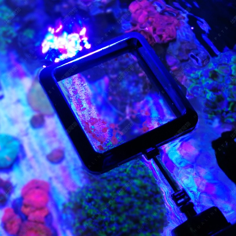 VASTOCEAN Magnetic Feeding Rin - Aquarium Fish Price 评论和价格