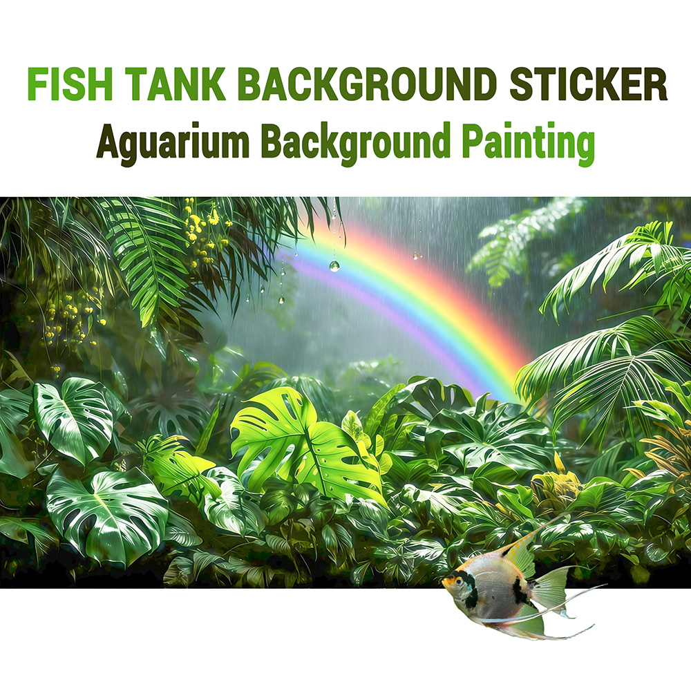 Rainforest Rainbow，fish tank b - Aquarium Fish Rainbow 评论和价格