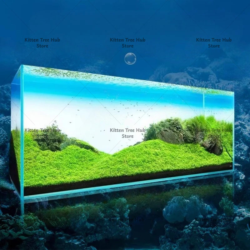 Fish Tank Background Board LED - Aquarium Fish Rainbow 评论和价格