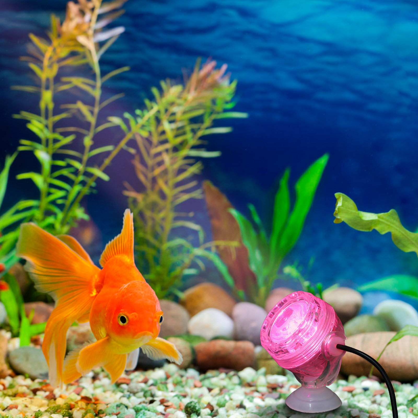 Small LED Aquarium Light Water - Aquarium Fish Rainbow 评论和价格