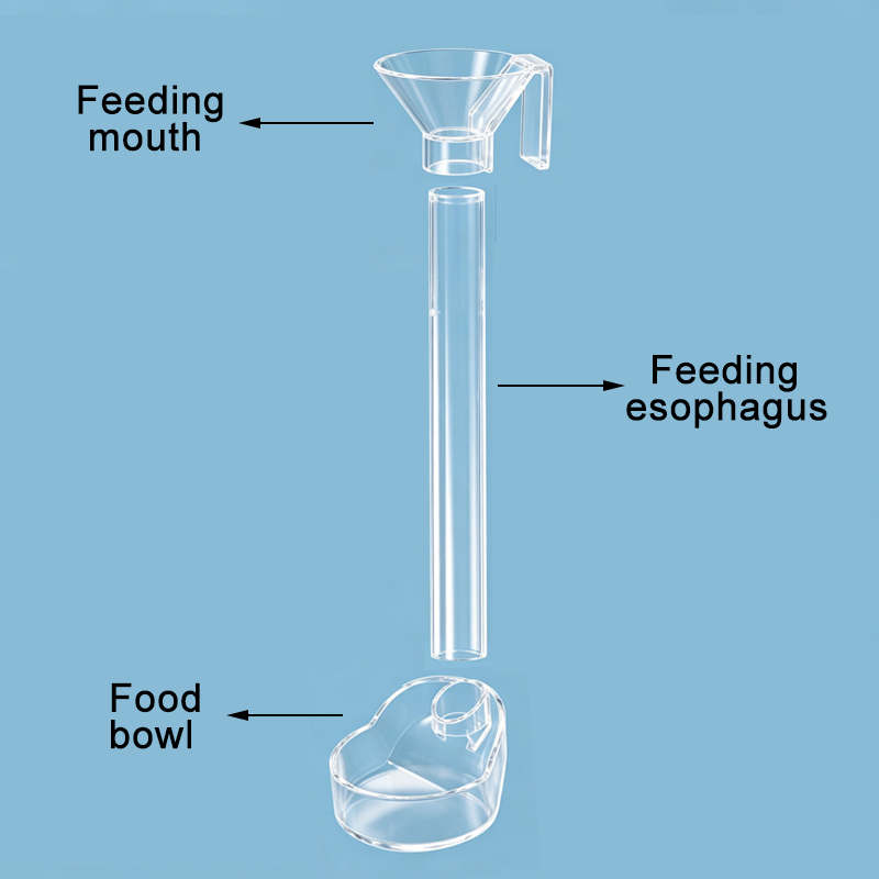 Acrylic Aquarium Fish Feeder T - Aquarium Fish Price 评论和价格