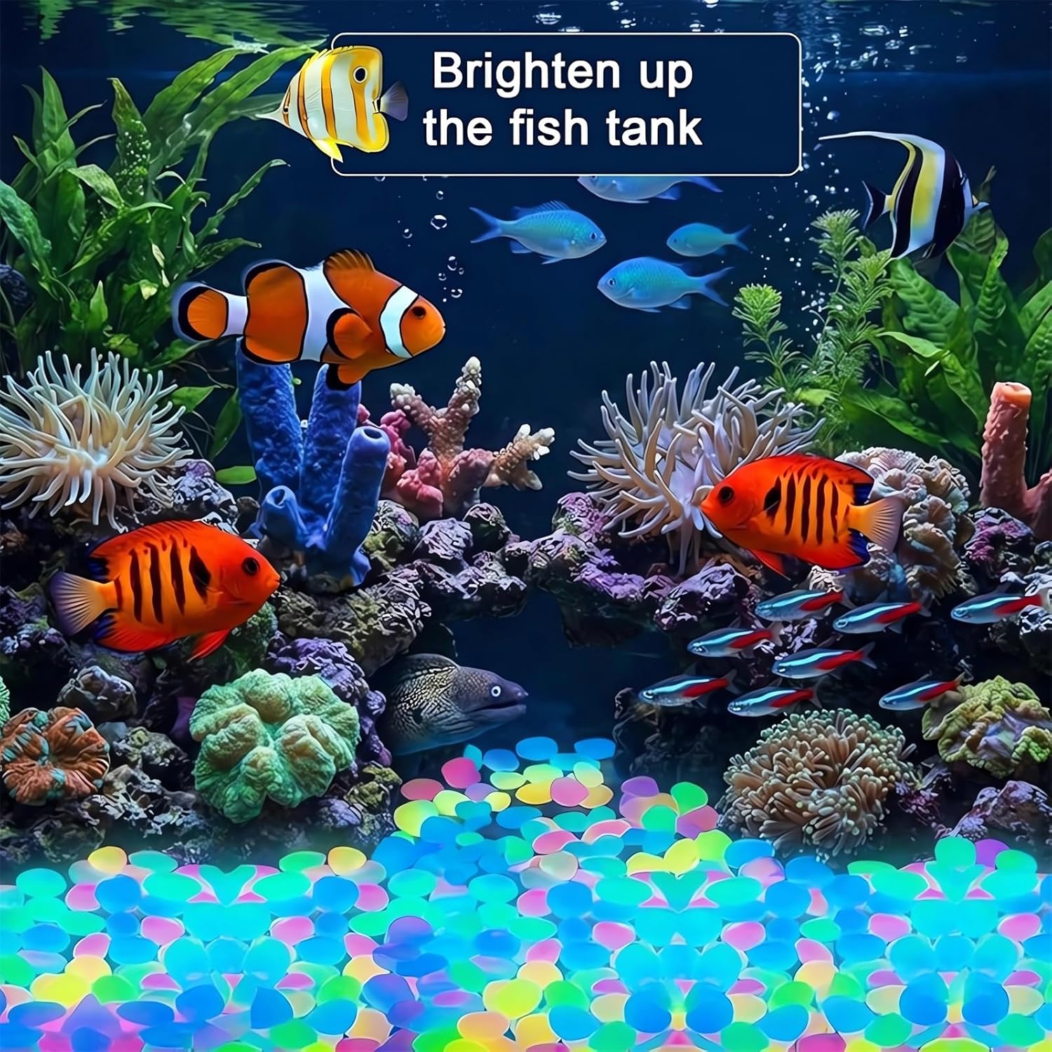 2026 Colored Night Glow Pebble - Aquarium Fish Rainbow 评论和价格