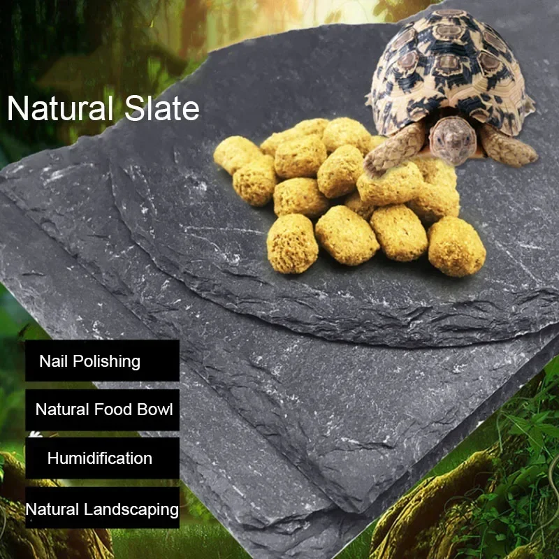 Natural Slate Aquarium Pet Rep - Aquarium Fish Price 评论和价格