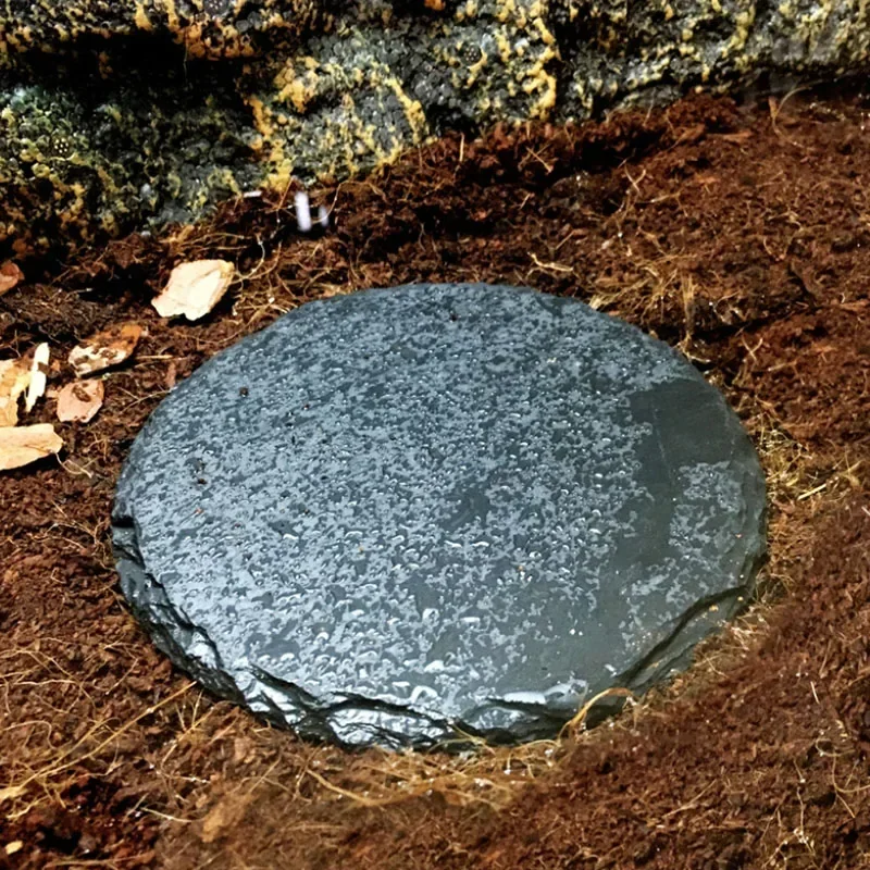 Natural Slate Aquarium Pet Rep - Aquarium Fish Price 评论和价格