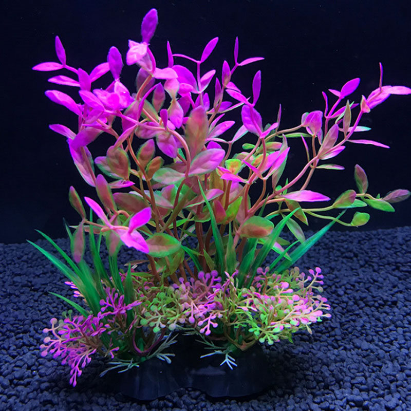 Aquarium decoration a variety  - Aquarium Fish Variety 评论和价格