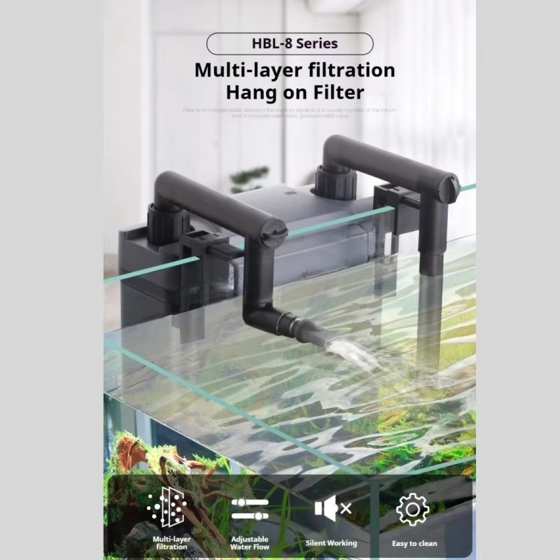 Hot Sale Professional Aquarium - Aquarium Fish For Sale 评论和价格