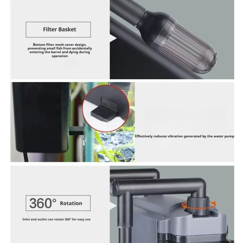 Hot Sale Professional Aquarium - Aquarium Fish For Sale 评论和价格