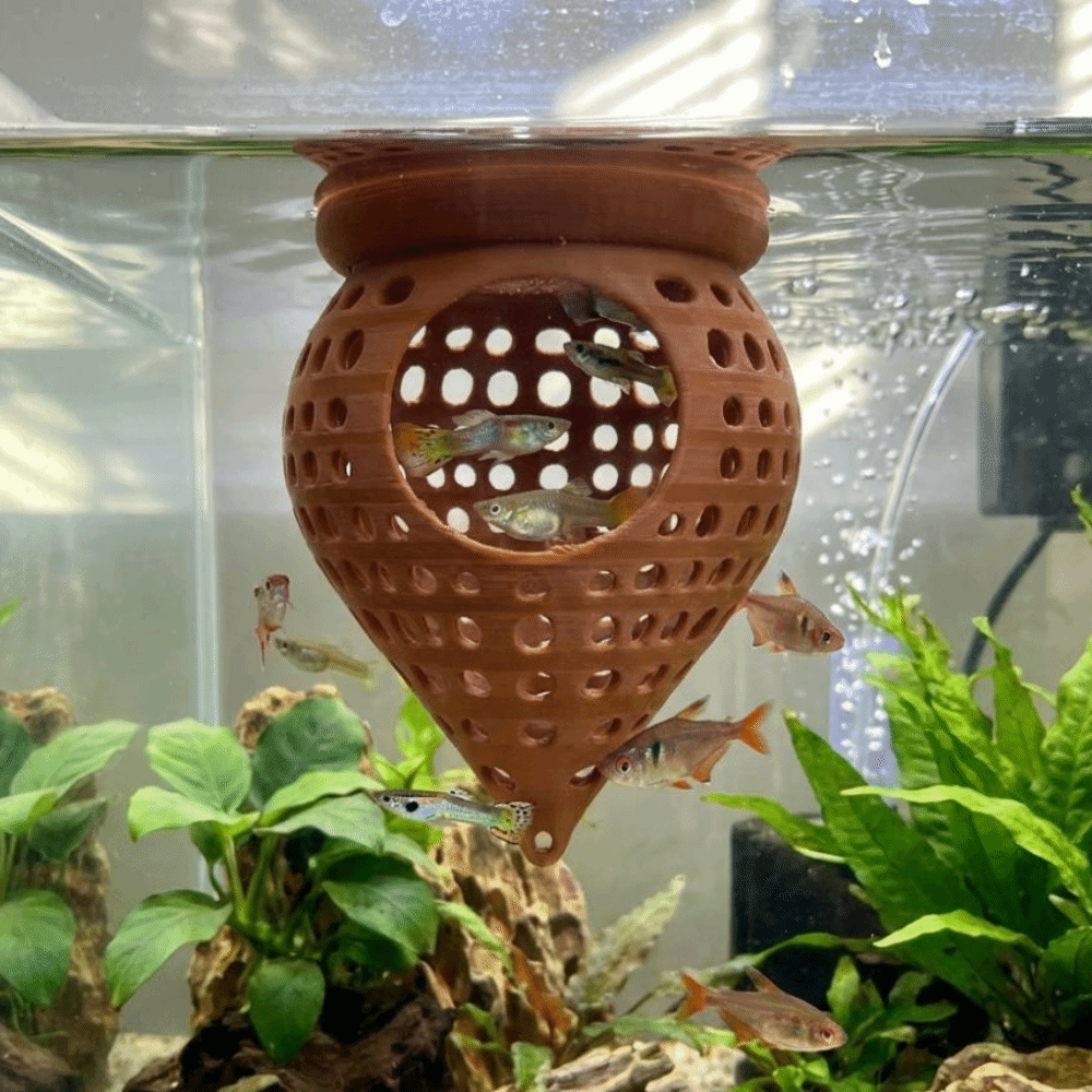 3D Printed Floating Fish Hammo - Aquarium Fish Food 评论和价格