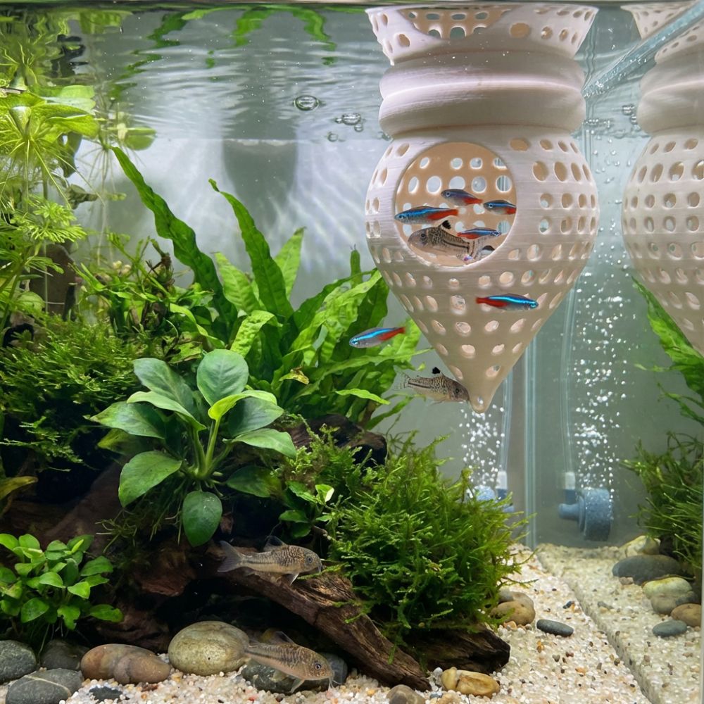 3D Printed Floating Fish Hammo - Aquarium Fish Food 评论和价格