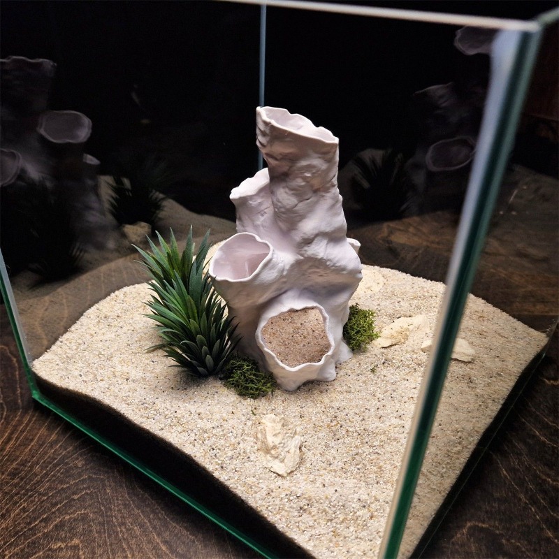 Hot Sale 3D Printed Coral Tunn - Aquarium Fish For Sale 评论和价格