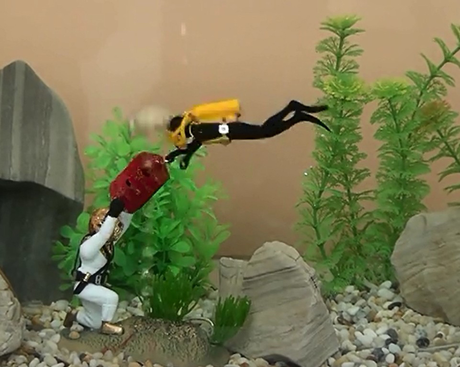 Hot Aquarium Decoration Unders - Aquarium Fish Gif 评论和价格