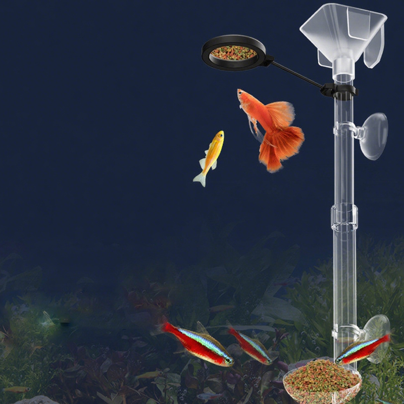 Acrylic Aquarium Fish Feeder T - Aquarium Fish Price 评论和价格