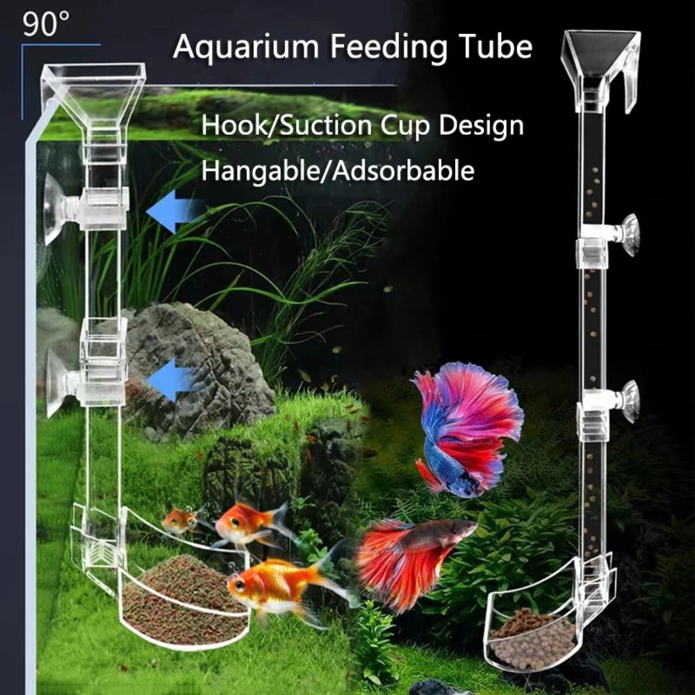 New Transparent Aquarium Fish  - Aquarium Fish Price 评论和价格
