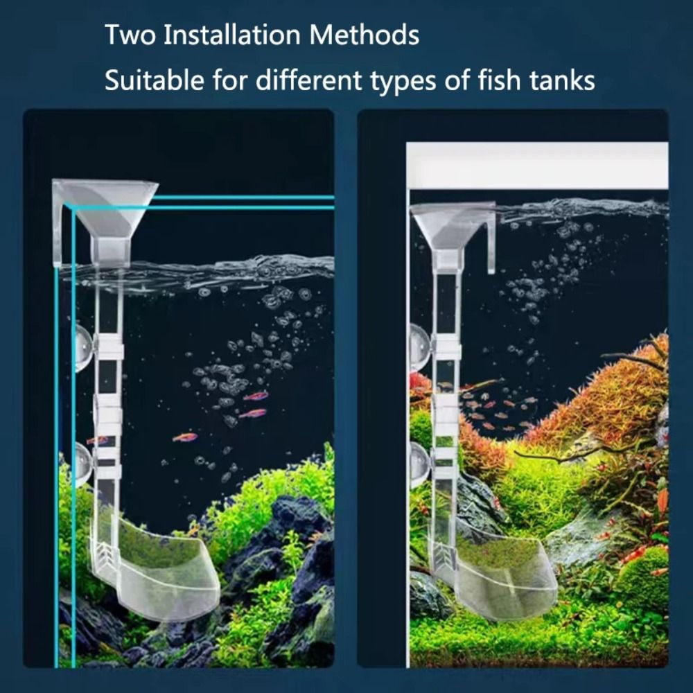 New Transparent Aquarium Fish  - Aquarium Fish Price 评论和价格