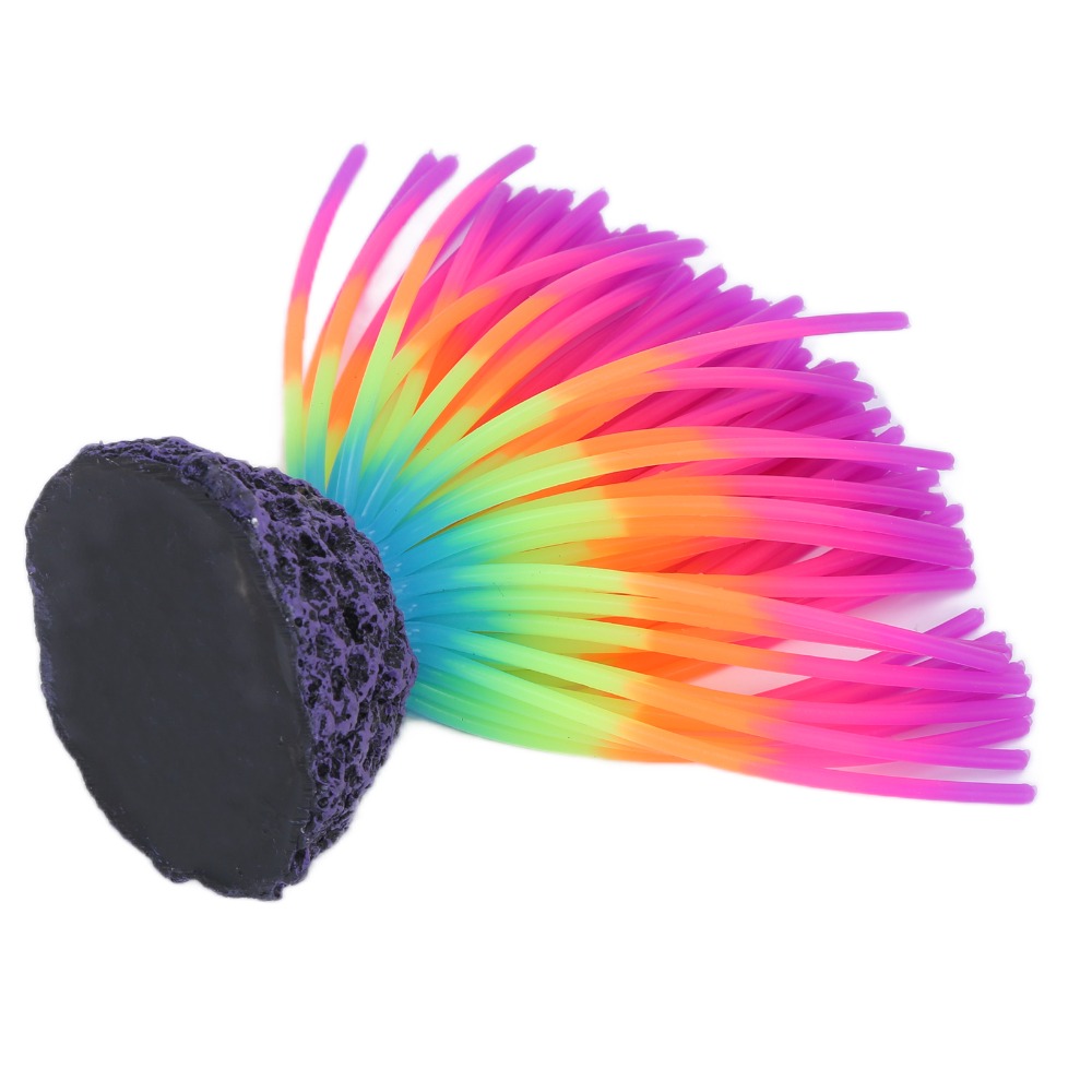 Colorful Aquarium Silicone Cor - Aquarium Fish Rainbow 评论和价格