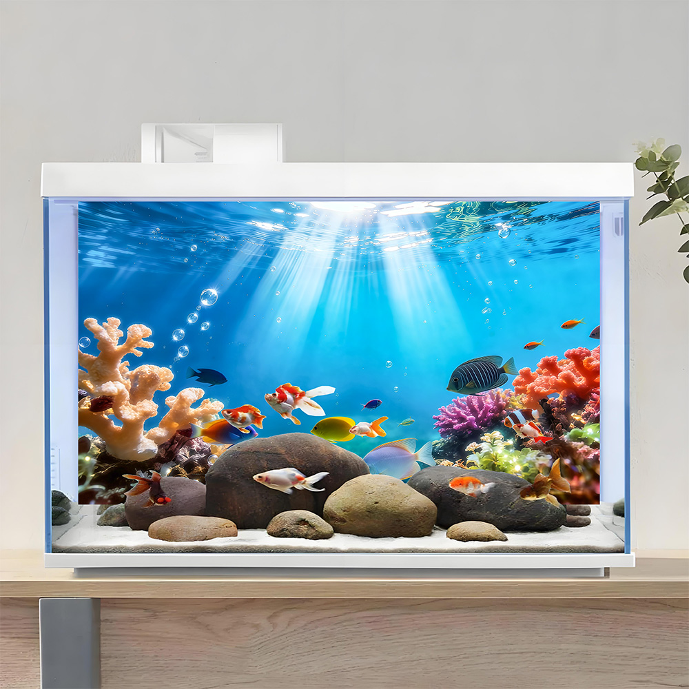 Rainbow-colored corals , fish  - Aquarium Fish Rainbow 评论和价格