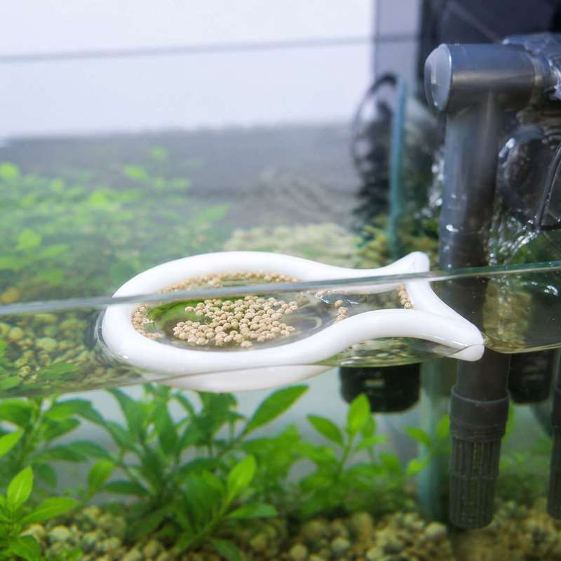Fish Shaped Floating Feeding R - Aquarium Fish Food 评论和价格