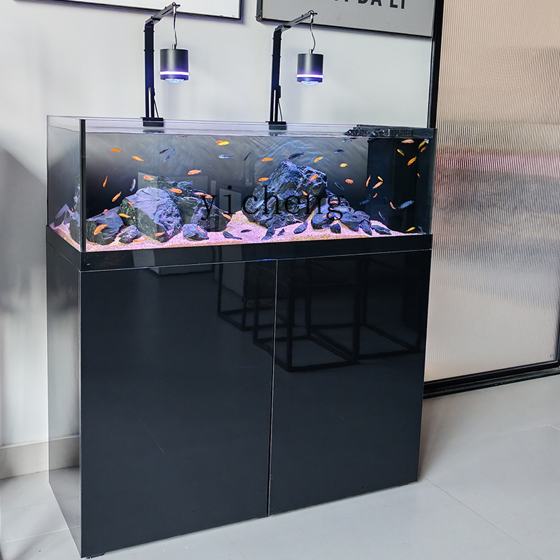U1  native wild stream tank Sa - Wild Aquarium Fish 评论和价格