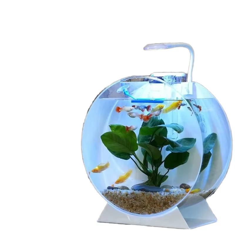 Hot Sale Modern Eco-Friendly A - Aquarium Fish For Sale 评论和价格