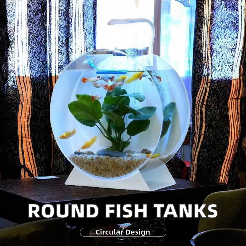 Hot Sale Modern Eco-Friendly A - Aquarium Fish For Sale 评论和价格