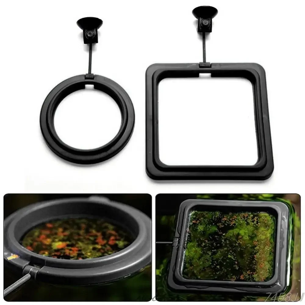 Feed Suction Cup Aquarium Feed - Aquarium Fish Food 评论和价格