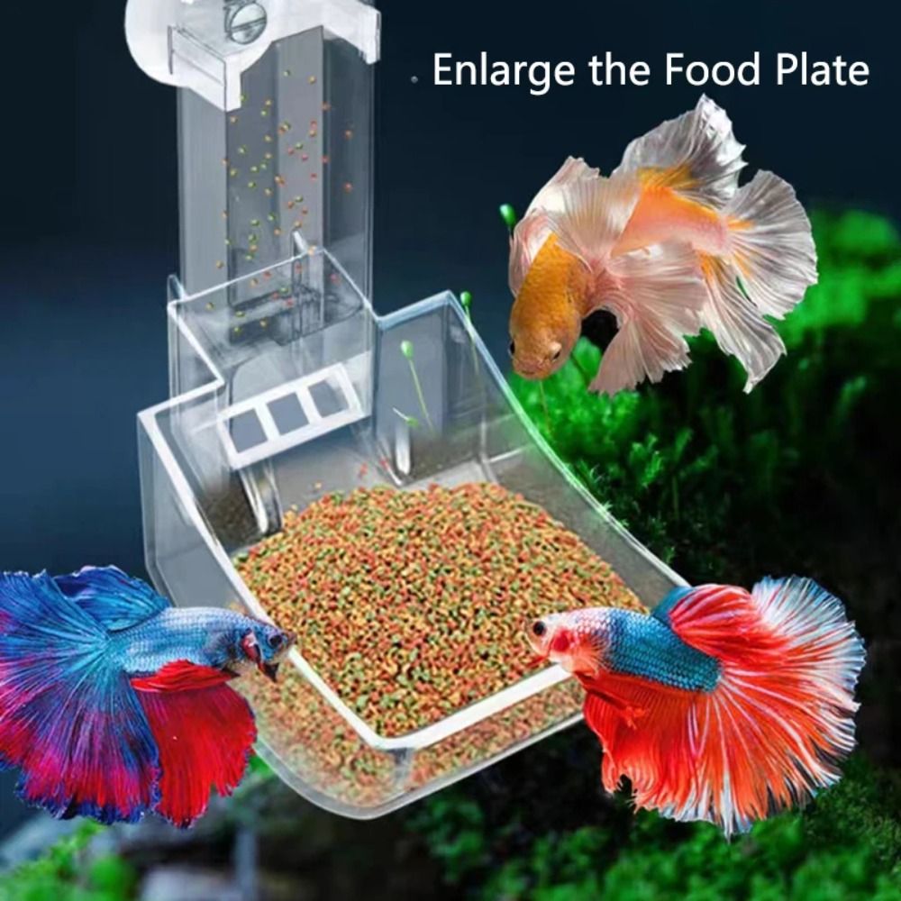 Transparent Aquarium Fish Tank - Aquarium Fish Price 评论和价格
