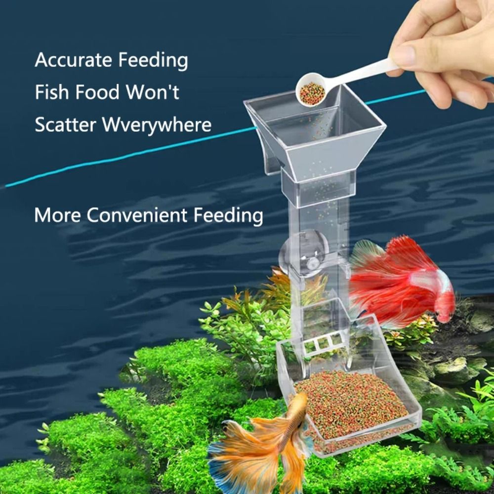 Transparent Aquarium Fish Tank - Aquarium Fish Price 评论和价格