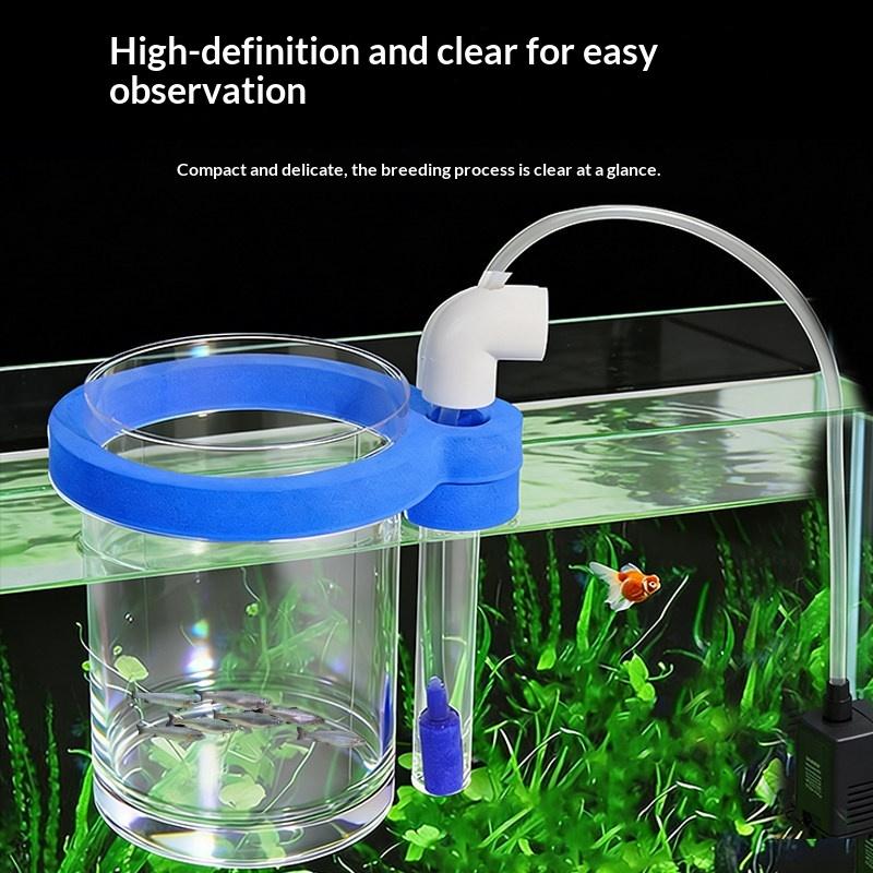 Transparent Acrylic Fish Breed - Aquarium Fish Food 评论和价格