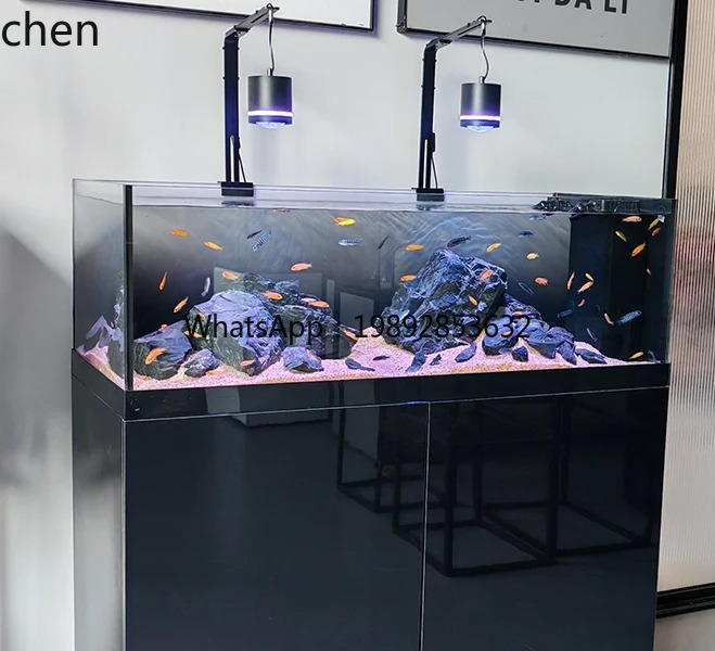 Stream Tank Native Wild Collec - Wild Aquarium Fish 评论和价格