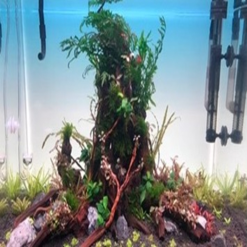 Fish Tank Background Board LED - Aquarium Fish Rainbow 评论和价格