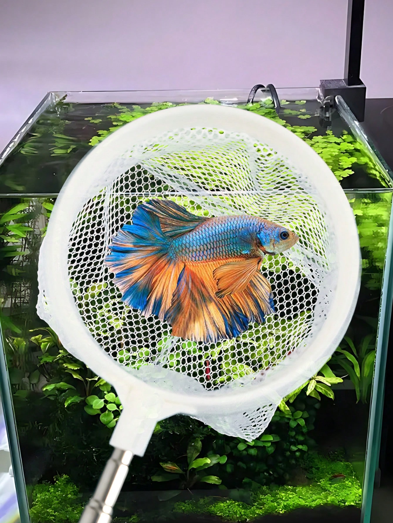 Aquarium Fish Net - a Retracta - Aquarium Fish Food 评论和价格