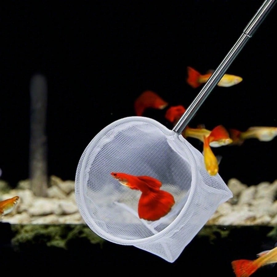 Aquarium Fish Net - a Retracta - Aquarium Fish Food 评论和价格