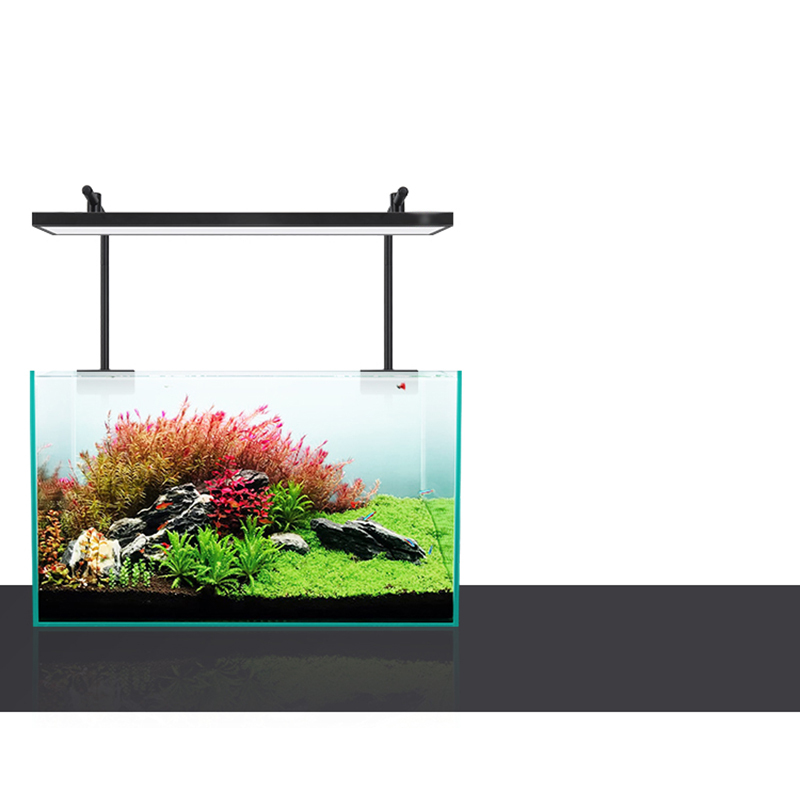 Led Lighting 60cm 80cm 90cm RG - Aquarium Fish For Sale 评论和价格