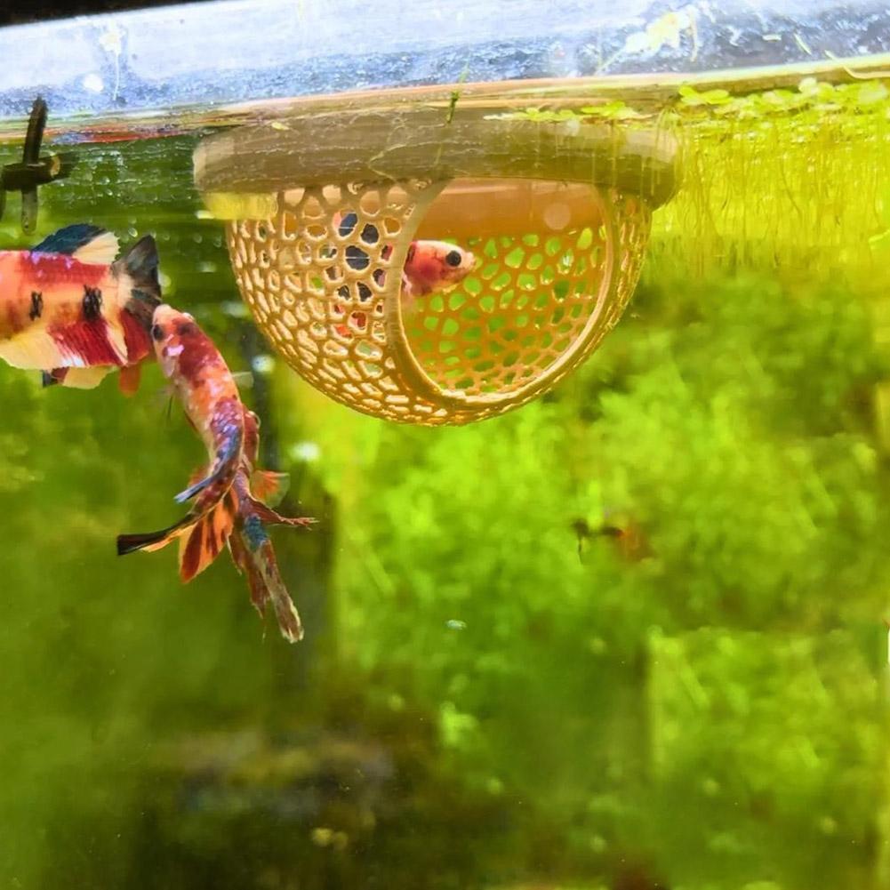 Aquarium Floating Cave Fish Sh - Aquarium Fish Hide 评论和价格