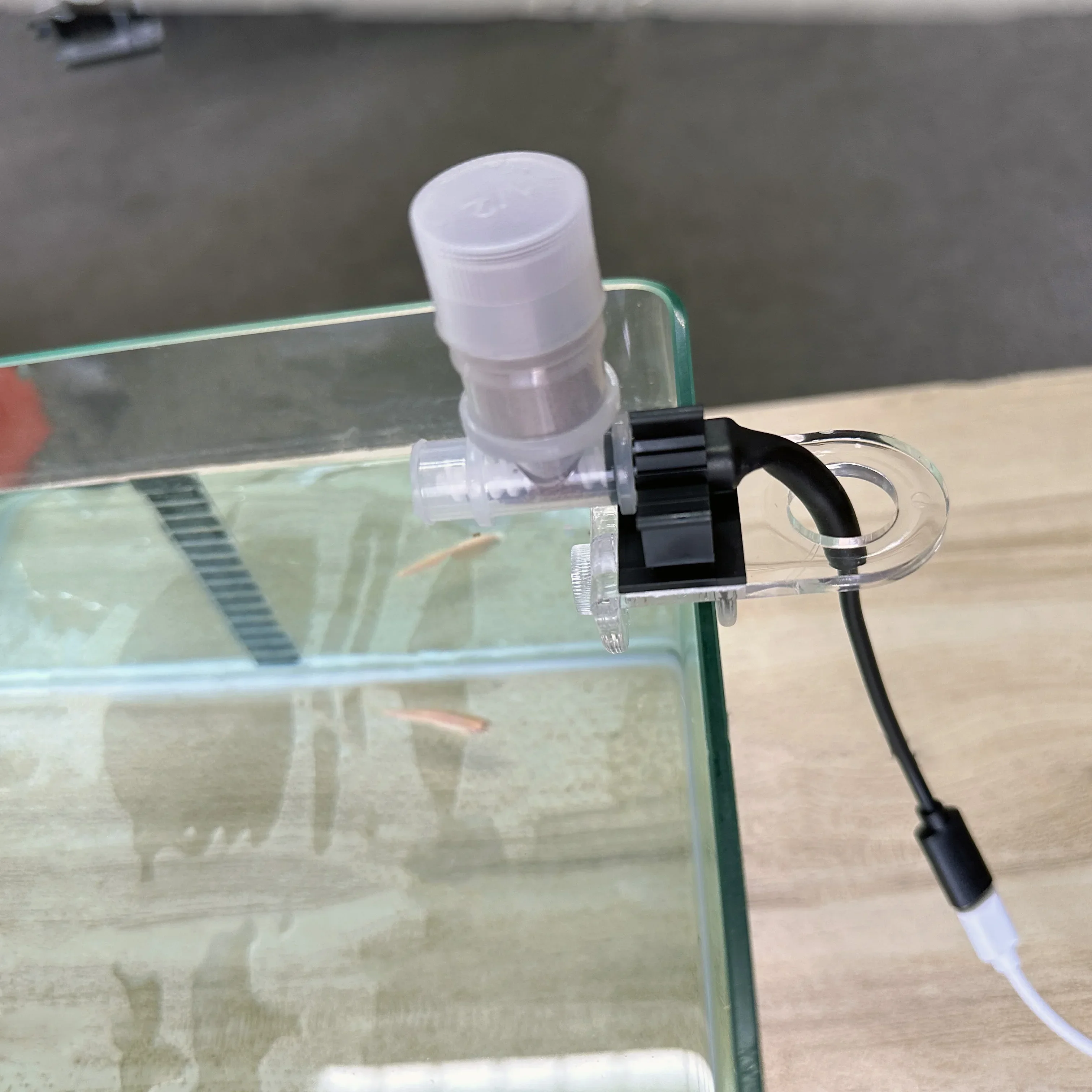 Best Automatic Fish Feeder - W - Aquarium Fish Food 评论和价格