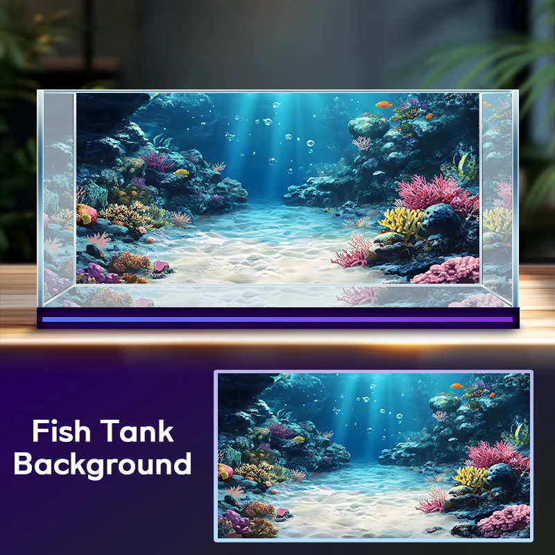 Rainbow Coral Reef，Fish tank b - Aquarium Fish Rainbow 评论和价格