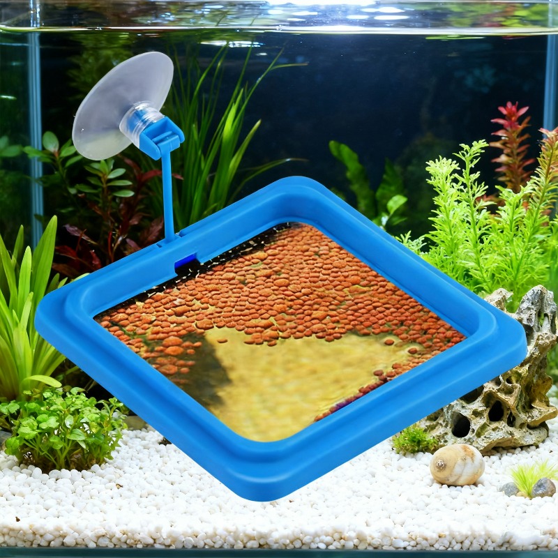 Aquarium Fish Tank Feeding Rin - Aquarium Fish Price 评论和价格