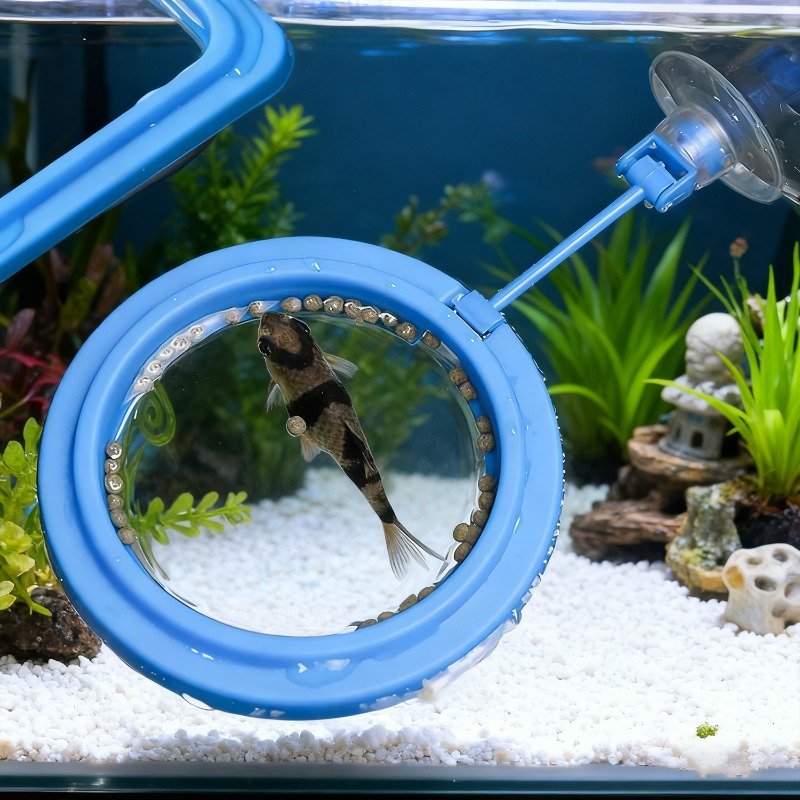 Aquarium Fish Tank Feeding Rin - Aquarium Fish Price 评论和价格