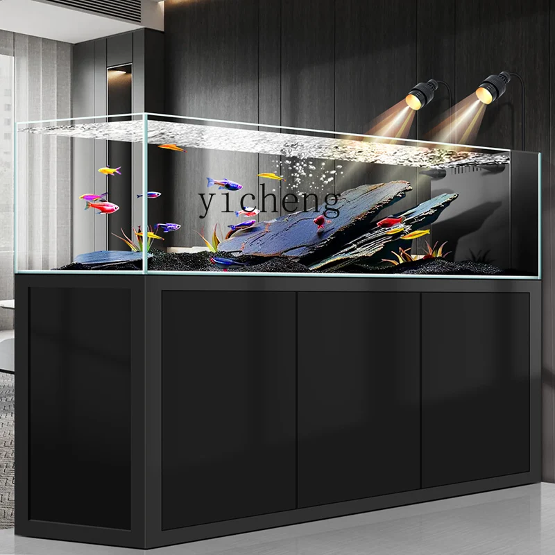Y1 original ecological wild mi - Wild Aquarium Fish 评论和价格