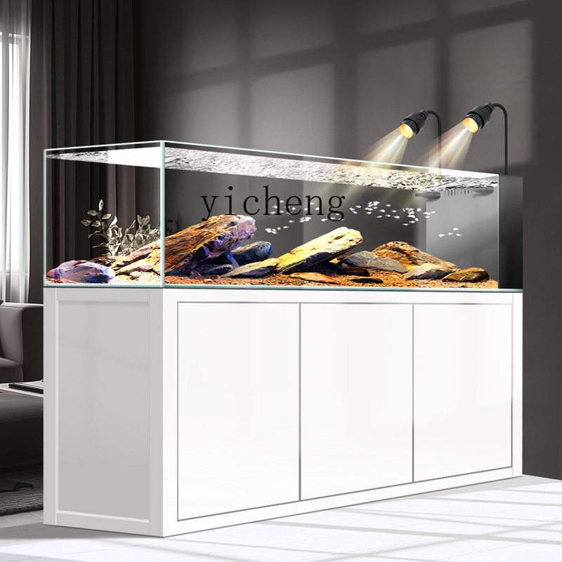 Y1 original ecological wild mi - Wild Aquarium Fish 评论和价格