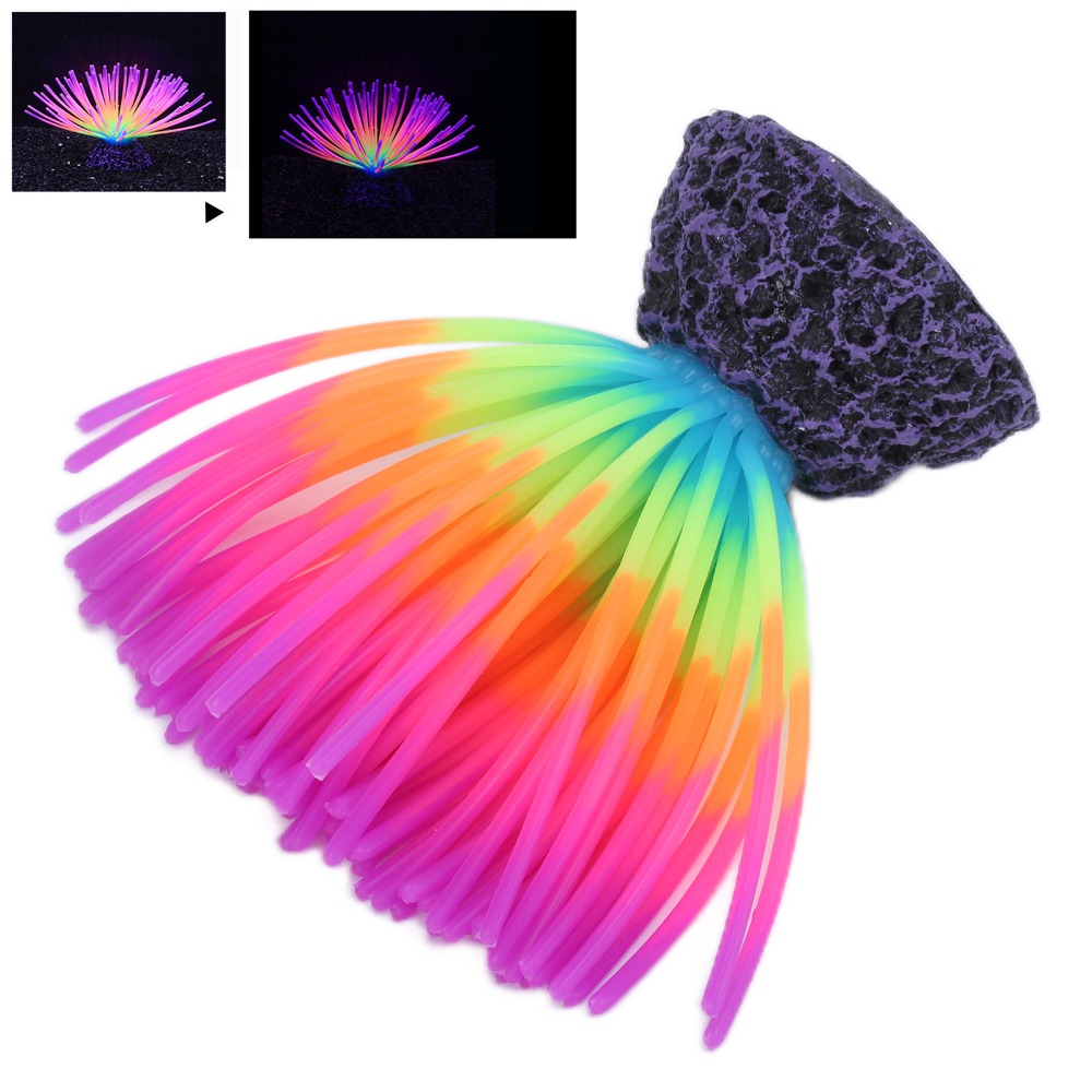 Colorful Aquarium Silicone Cor - Aquarium Fish Rainbow 评论和价格