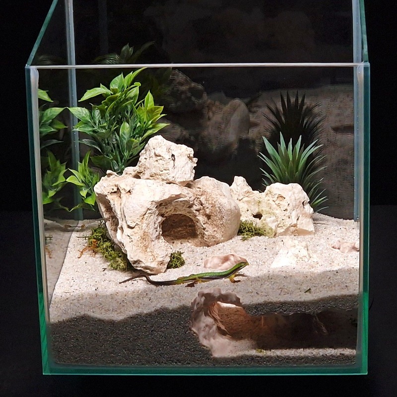 3DPrinted Fish Tank Tunnel She - Aquarium Fish Hide 评论和价格