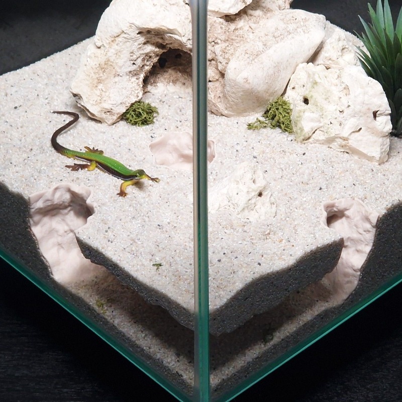 3DPrinted Fish Tank Tunnel She - Aquarium Fish Hide 评论和价格