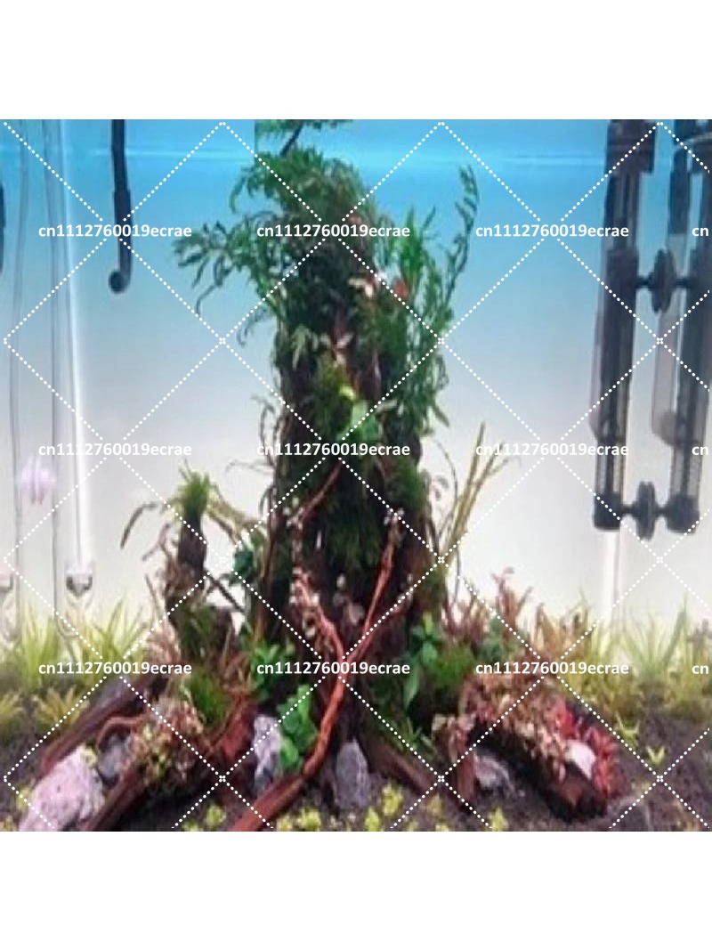 Aquarium Background Board LED  - Aquarium Fish Rainbow 评论和价格