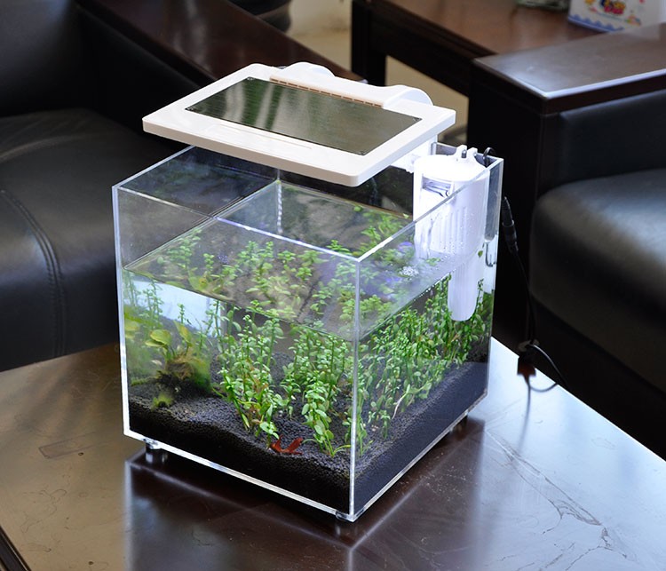 Mini Acrylic (25*25*25cm) Sale - Aquarium Fish For Sale 评论和价格