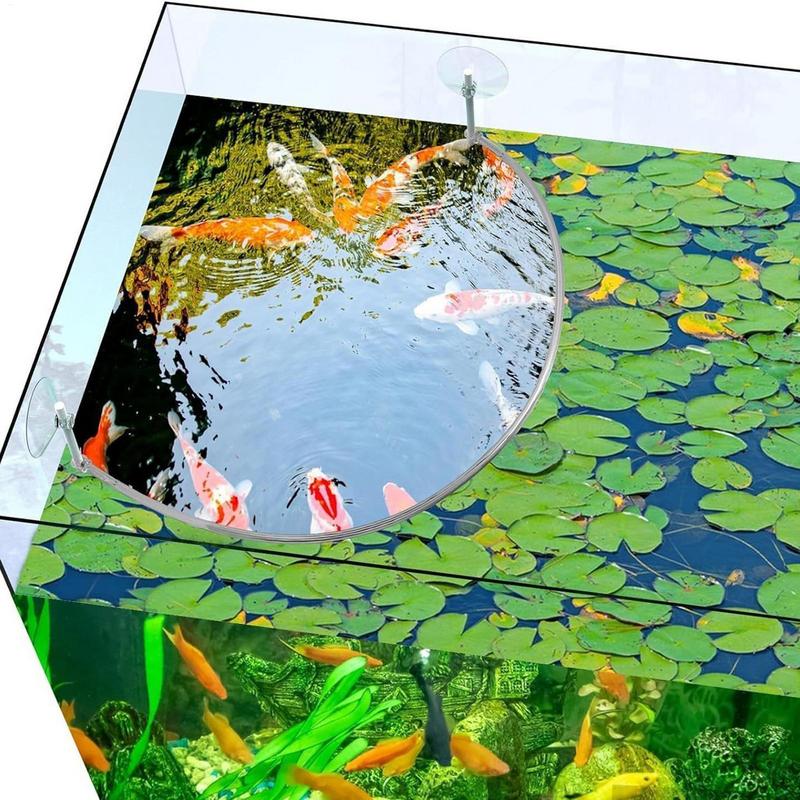 Floating Plant Corral Fish Fee - Aquarium Fish Food 评论和价格