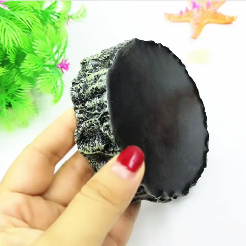 Pet Reptile Feeder Bowl Resin  - Aquarium Fish Food 评论和价格