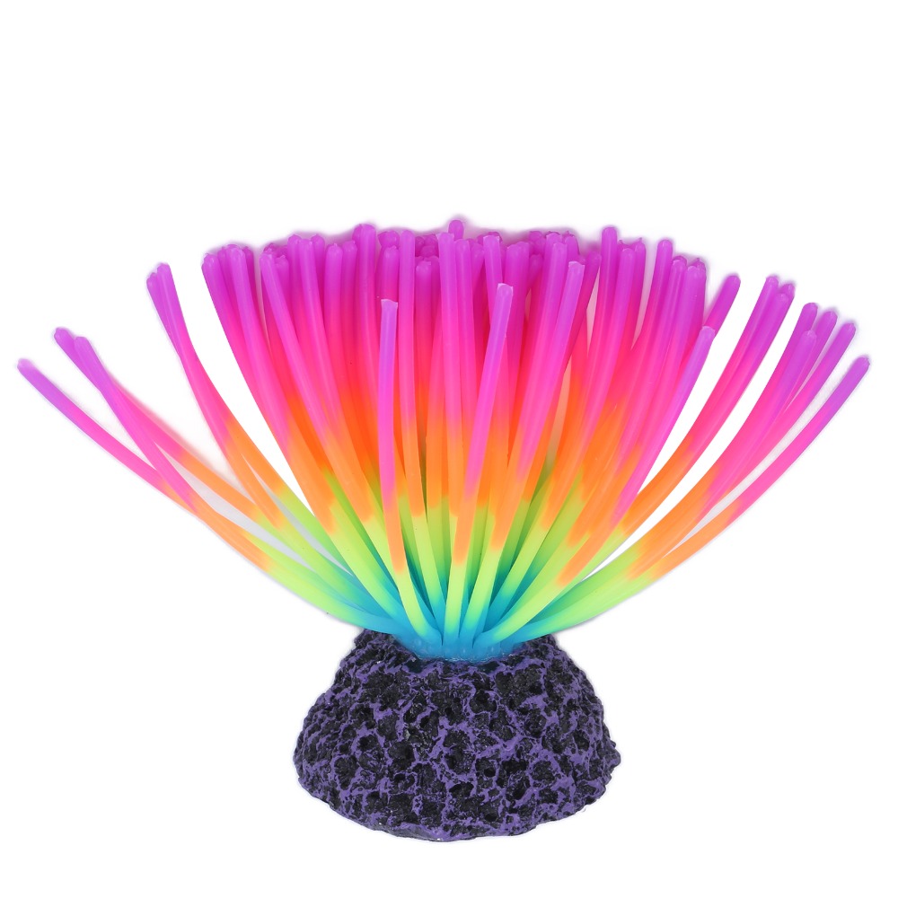 Colorful Aquarium Silicone Cor - Aquarium Fish Rainbow 评论和价格