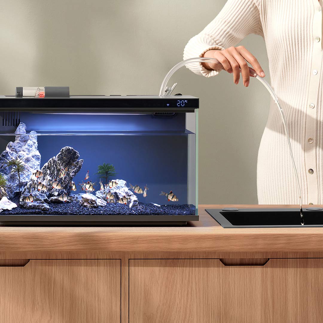 Xiaomi Mijia Smart Fish Tank M - Aquarium Fish Food 评论和价格